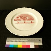 Cover image of Decorative; Dinner Plate